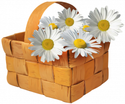 Daisy clipart flower basket ~ Frames ~ Illustrations ~ HD images ...