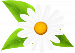 Daisy with Leaves Transparent Clip Art | Gallery Yopriceville ...