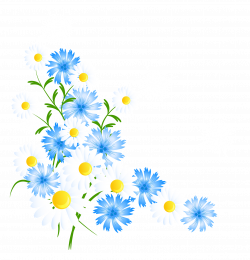 Butterfly Flower Blue Clip art - spring flowers 1514*1577 transprent ...