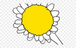 Daisy Clipart Living Thing - Sunflower - Png Download ...