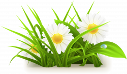 Common daisy - Flowers grass vector grass vector 3055*1776 ...