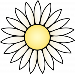 Black And White Daisy Pictures Clipart - Clip Art Library