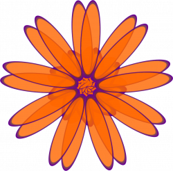 Clipart - Orange Daisy