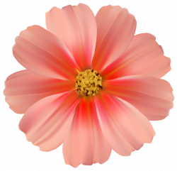 Orange Daisy PNG Clipart Image | Gallery Yopriceville - High ...