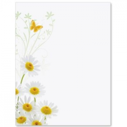 White Daisies Border Papers | stationery | Borders for paper ...