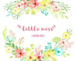 Watercolor Clipart Daisy pastel color flowers and decorative ...