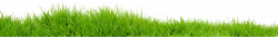 grass png free pictures, images grass png download free | Projects ...