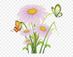 Daisy Clipart Plant Insect - Flower Clipart, HD Png Download ...