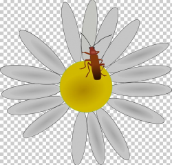 Flower Insect Petal PNG, Clipart, Animation, Arthropod, Bee ...