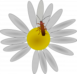 Clipart - bug on a flower