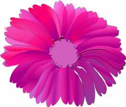 Gerbera Daisy Clipart#4834426 - Shop of Clipart Library