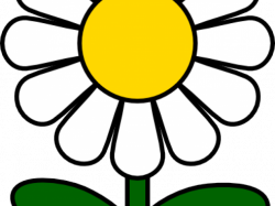 Daisy Flower Cliparts Free Download Clip Art - carwad.net