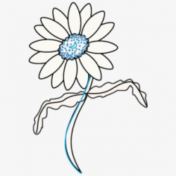 Daisies Clipart Field Daisy - Simple Daisy Line Drawing ...