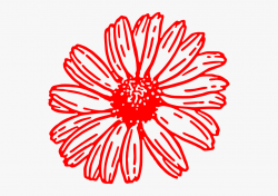 Gerbera Daisies Drawings #1010885 - Free Cliparts on ClipartWiki