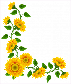 Stunning Sunflower Border Decoration Png Clipart Image This U That ...