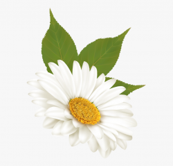 Tall Clipart Daisy - Rosas Y Flores Animadas Png, Cliparts ...