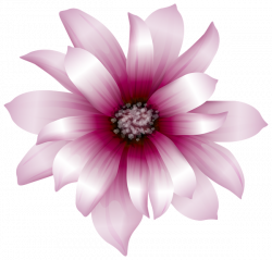 Large Pink Flower Transparent PNG Clip Art Image | Various pics ...