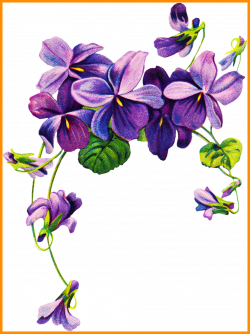 Incredible Vintage Clipart Tatoo Violet Flower Picture Of ...