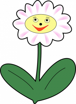 Daisy clipart flower plant - Pencil and in color daisy clipart ...