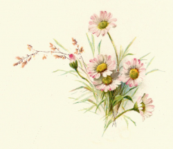 Free Vintage Floral Art Prints | Free Flower Graphic ...