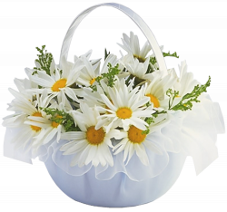 Basket with Daisies Transparent Clipart | Gallery Yopriceville ...