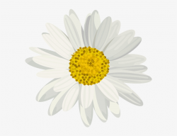 Art Images, Daisy, Clip Art, Art Pictures, Daisies, - Daisy ...