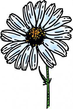 Free clipart sideways daisy - Clipart Collection | Daisy clip art ...