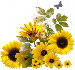 Pin by Trisna on Sunflower | Pinterest | Sunflowers and Decoupage
