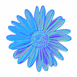 blue daisy flower tumblr aesthetic vaporwave iridescent...
