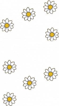 rikkisgirl yellow daisy daisies flowers aesthetic linea...