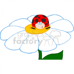cartoon lady bug sitting on a daisy clipart. Royalty-free clipart # 382155
