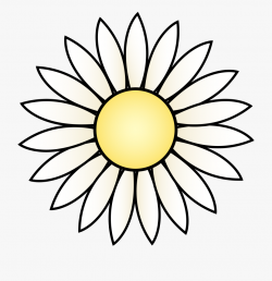 White Daisy Flower - Black And White Sunflower Clipart ...