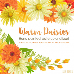orange and yellow daisy watercolor clipart, floral graphic daisies with  wreath and laurel, handpainted watercolor clipart by SLS Lines