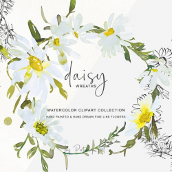 Watercolor Daisy Wreath Clipart Hand Painted Daisy Wreath - Hand Drawn  Daisy Wreath Watercolor Daisy Wreaths Commercial Use | Daisy