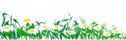 Pin by Pearl Balagtas on GrassDesigns | Clip art, Grass, Daisy