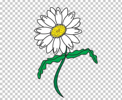 Drawing Line Art Common Daisy PNG, Clipart, Art, Artwork ...