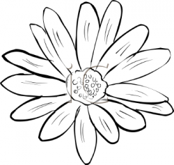 Royalty Free Daisy Clip art, Flower Clipart | clipart ...