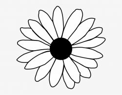Flower Line Drawing Clip Art Free - Daisy Clipart Black And ...