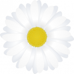 Collection of Daisy Template | Buy any image and use it for free ...