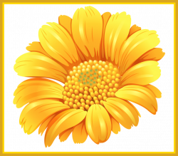 Appealing Png Button And Flower Patterns For Daisy Clipart Trends ...