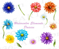 50% OFF Daisy Clipart, Watercolor Daisies Clip art, Floral Daisies, Flower  Elements, Watercolor Flowers Clipart, Blue, Pink, Purple
