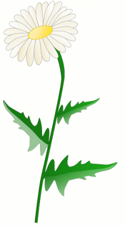 Free daisy clipart public domain flower clip art images and ...