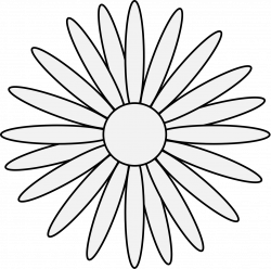 Daisy - Traceable Heraldic Art