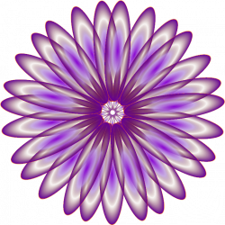 Clipart - Purple Daisy