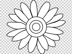 Flower Drawing Common Daisy PNG, Clipart, Black And White ...