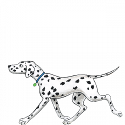 Dalmatian dog Puppy Hairy Maclary from Donaldson's Dairy Dog breed ...