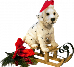 Christmas Dog on A Sledge transparent PNG - StickPNG
