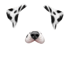 Request: Dalmatian filter | perro | Pinterest | Dalmatian