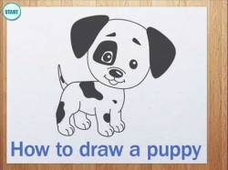 How to draw a puppy - YouTube | Drawing and painting in 2019 ...