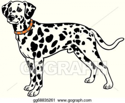 Vector Art - Dalmatian . Clipart Drawing gg68835261 - GoGraph